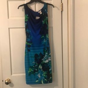 Cache Dress